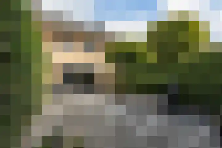 Diemewei 4217 Wijchen thumbnail 5