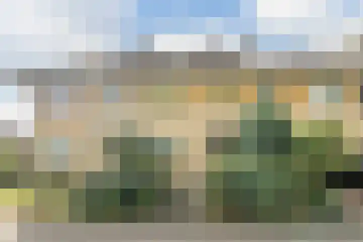 Diemewei 4217 Wijchen thumbnail 6