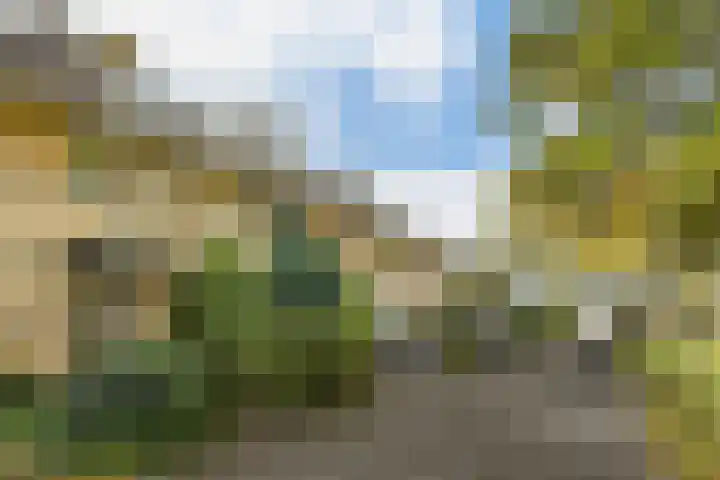 Diemewei 4217 Wijchen thumbnail 7