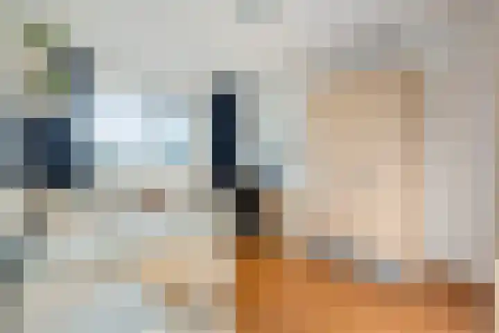 Diemewei 4219 Wijchen thumbnail 14