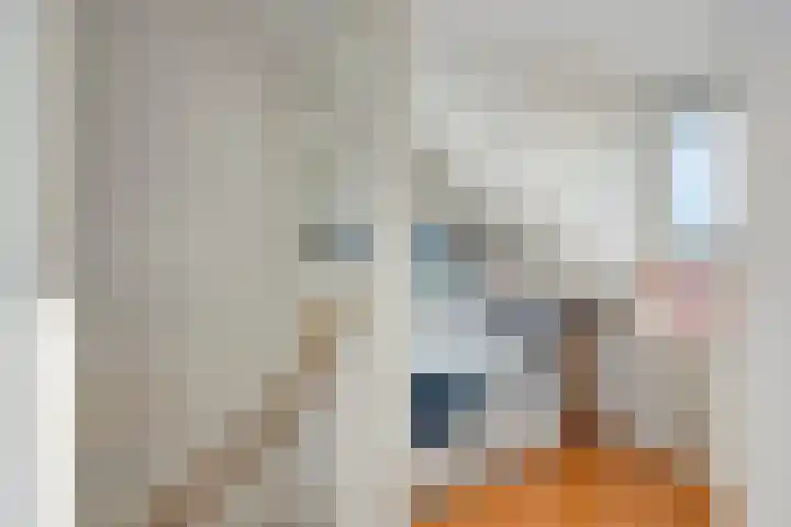 Diemewei 4219 Wijchen thumbnail 17