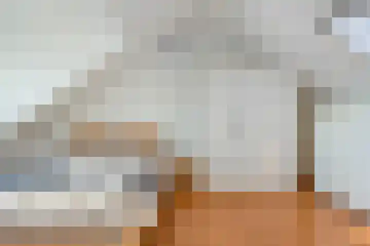 Diemewei 4219 Wijchen thumbnail 18