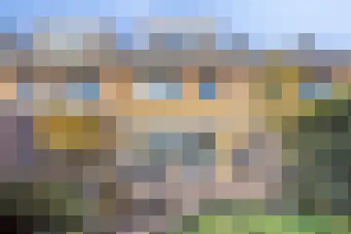 Diemewei 4219 Wijchen thumbnail 20