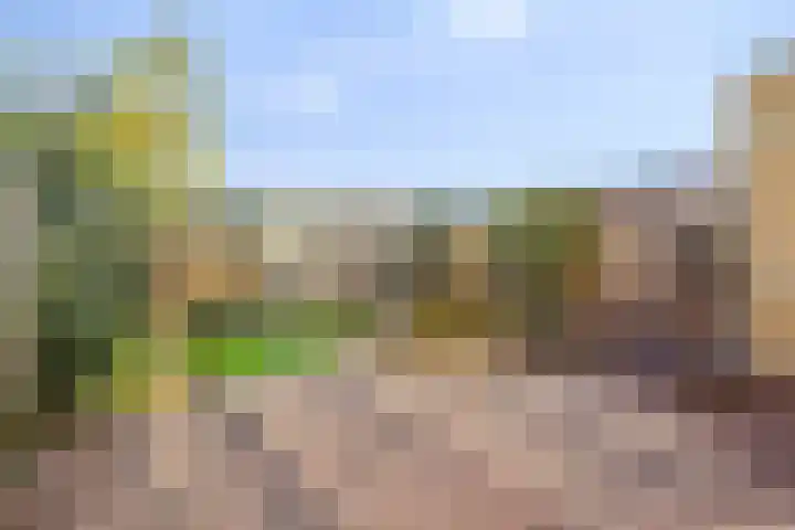 Diemewei 4219 Wijchen thumbnail 21