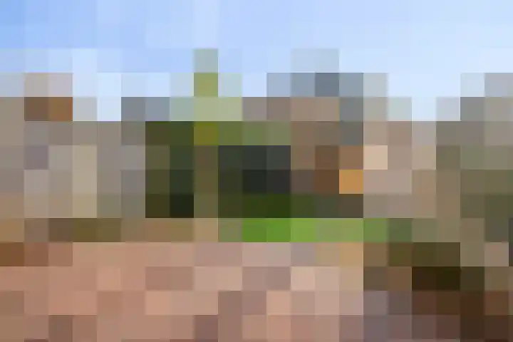 Diemewei 4219 Wijchen thumbnail 22