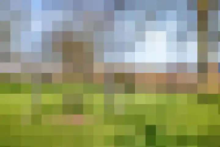 Diemewei 4219 Wijchen thumbnail 26