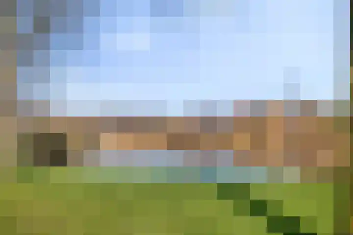 Diemewei 4219 Wijchen thumbnail 27