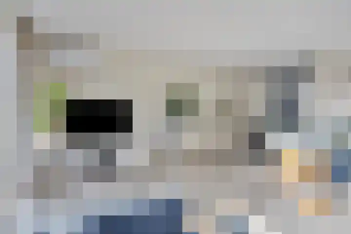 Diemewei 4219 Wijchen thumbnail 5