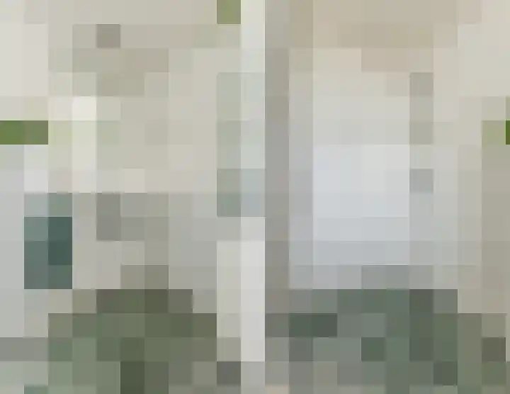 Diemewei 4219 Wijchen thumbnail 6