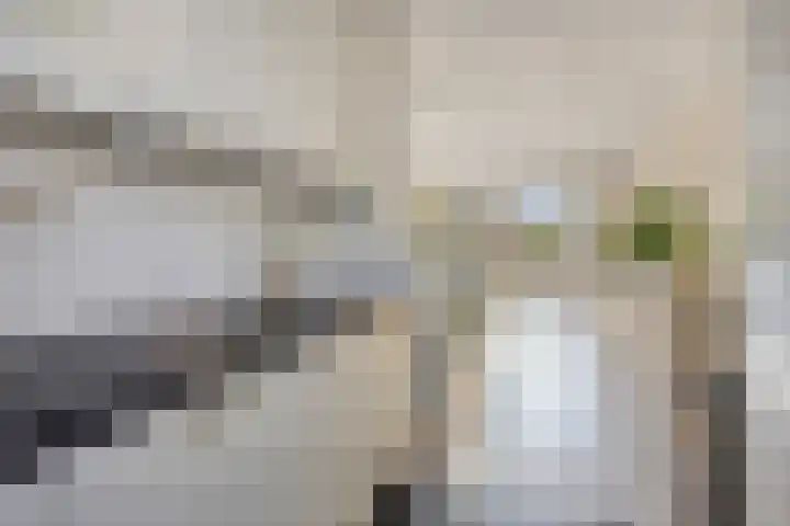 Diemewei 4219 Wijchen thumbnail 9