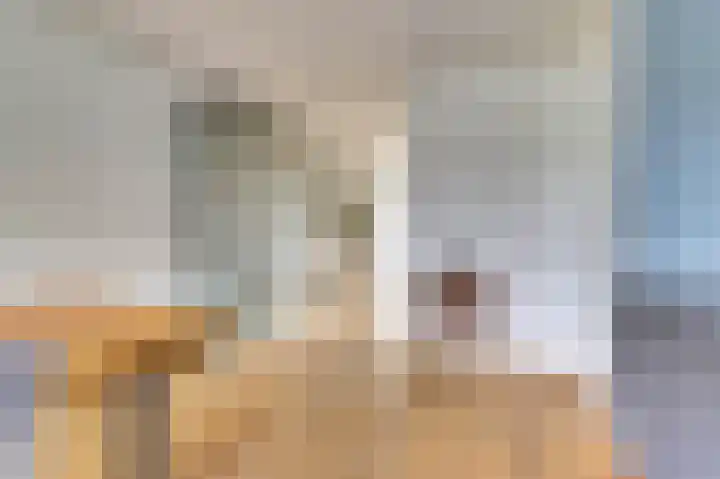 Diemewei 4506 Wijchen thumbnail 12