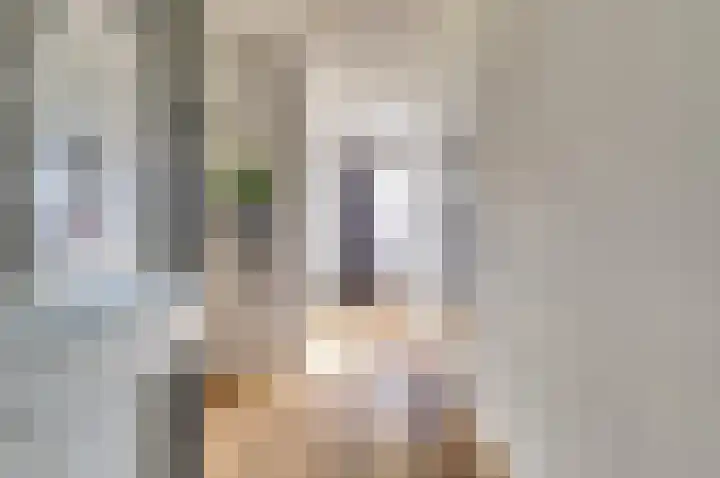 Diemewei 4506 Wijchen thumbnail 13