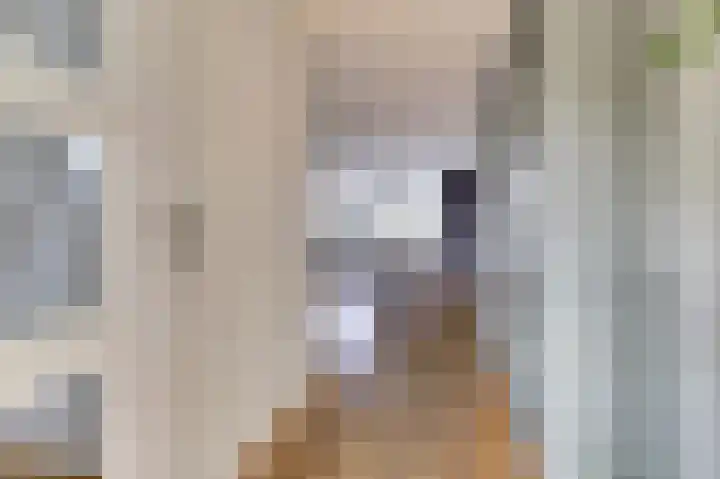 Diemewei 4506 Wijchen thumbnail 17