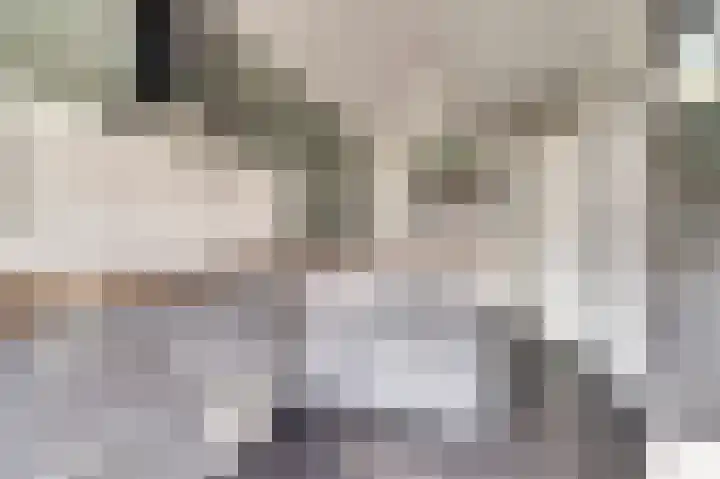 Diemewei 4506 Wijchen thumbnail 20