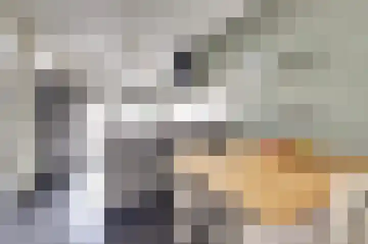 Diemewei 4506 Wijchen thumbnail 23