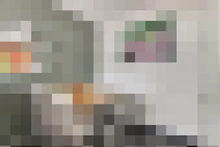Diemewei 4506 Wijchen thumbnail 24