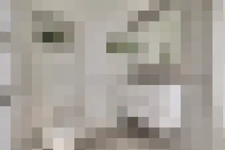 Diemewei 4506 Wijchen thumbnail 37