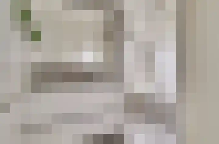 Diemewei 4506 Wijchen thumbnail 38
