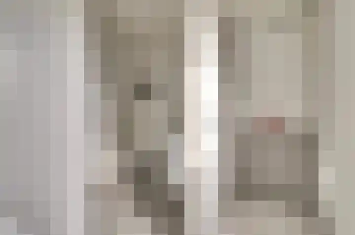 Diemewei 4506 Wijchen thumbnail 39