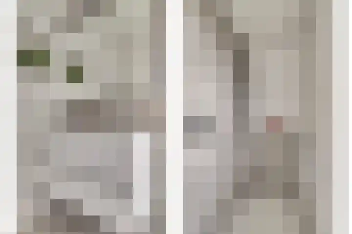 Diemewei 4506 Wijchen thumbnail 41
