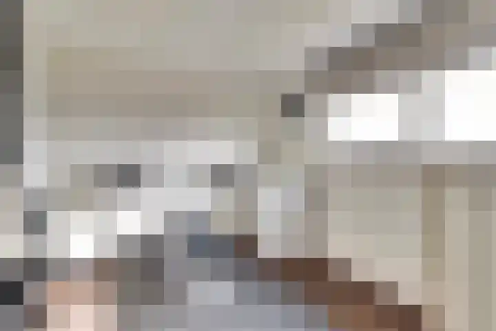 Diemewei 4506 Wijchen thumbnail 44