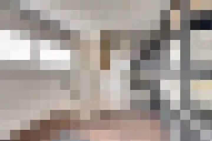 Diemewei 4506 Wijchen thumbnail 45