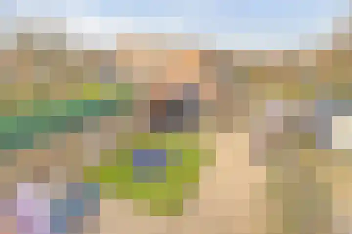 Diemewei 4506 Wijchen thumbnail 46