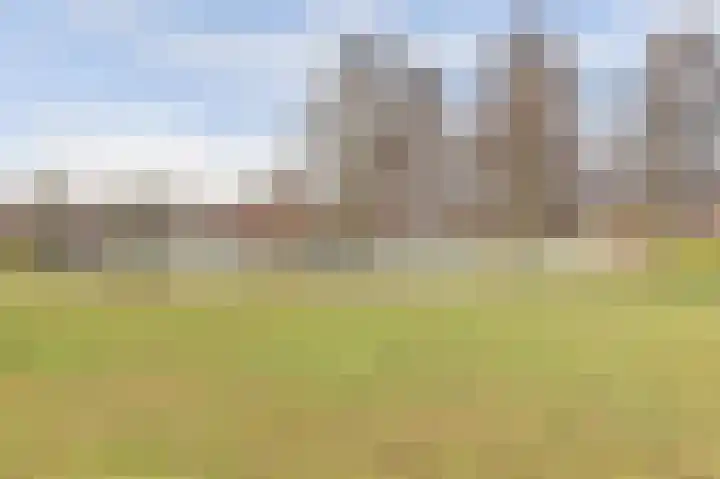 Diemewei 4506 Wijchen thumbnail 56