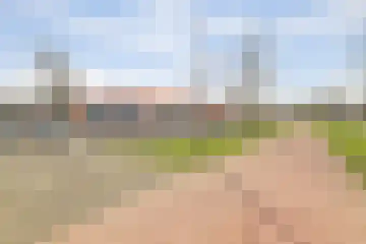 Diemewei 4506 Wijchen thumbnail 57