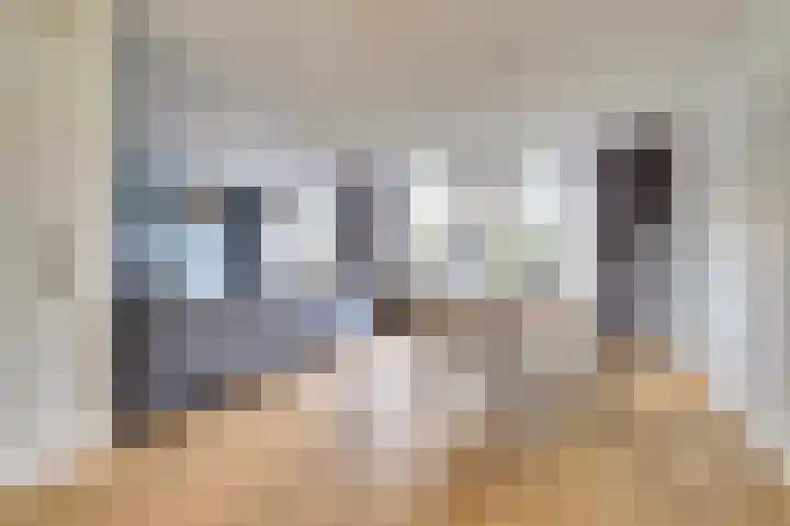 Diemewei 4506 Wijchen thumbnail 6