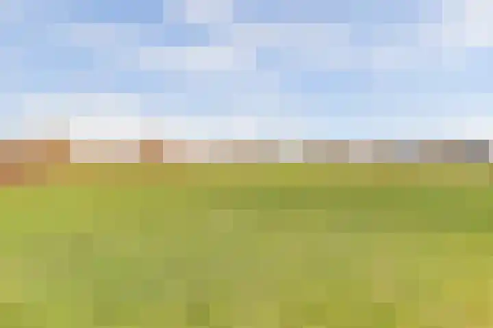 Diemewei 4506 Wijchen thumbnail 60