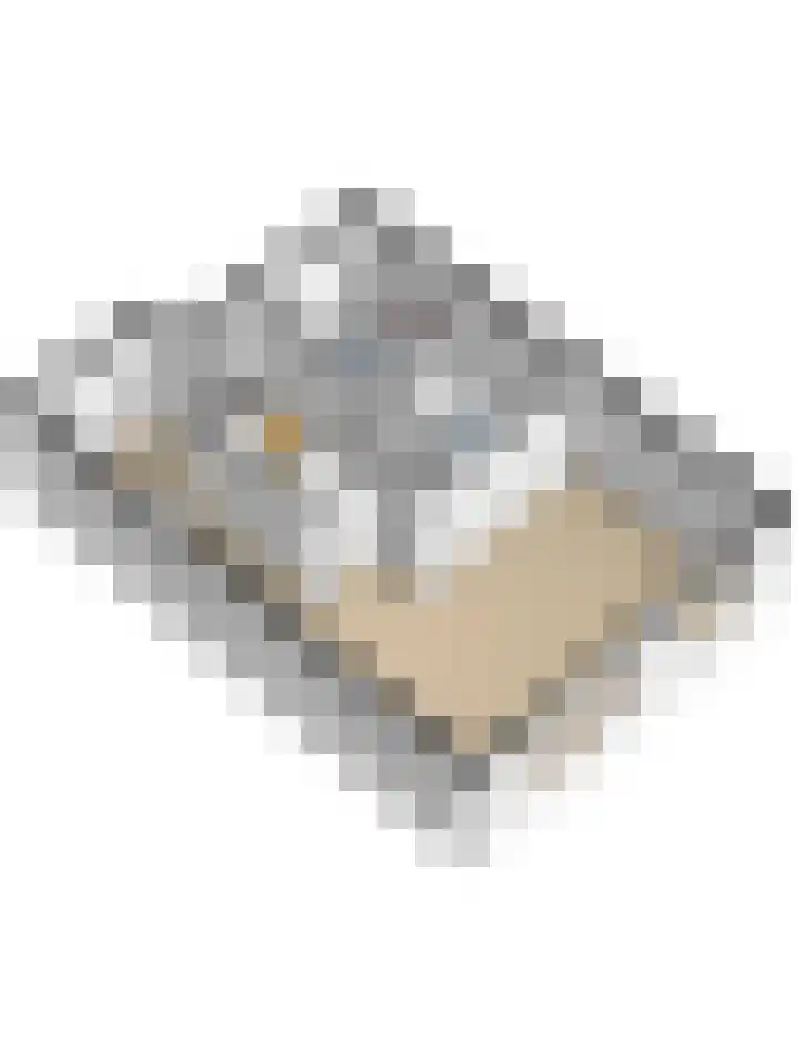 Diemewei 4506 Wijchen thumbnail 63