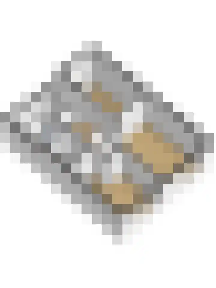 Diemewei 4506 Wijchen thumbnail 65