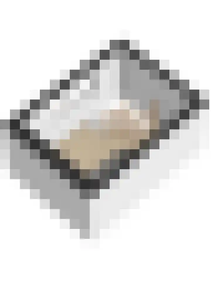 Diemewei 4506 Wijchen thumbnail 67