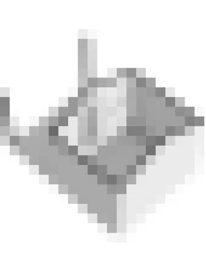 Diemewei 4506 Wijchen thumbnail 69