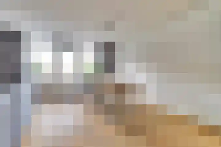 Diemewei 4506 Wijchen thumbnail 7