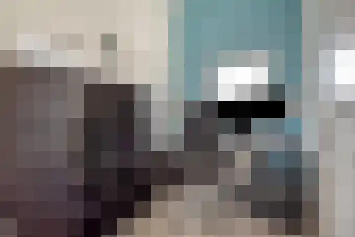 Diemewei 4604 Wijchen thumbnail 16