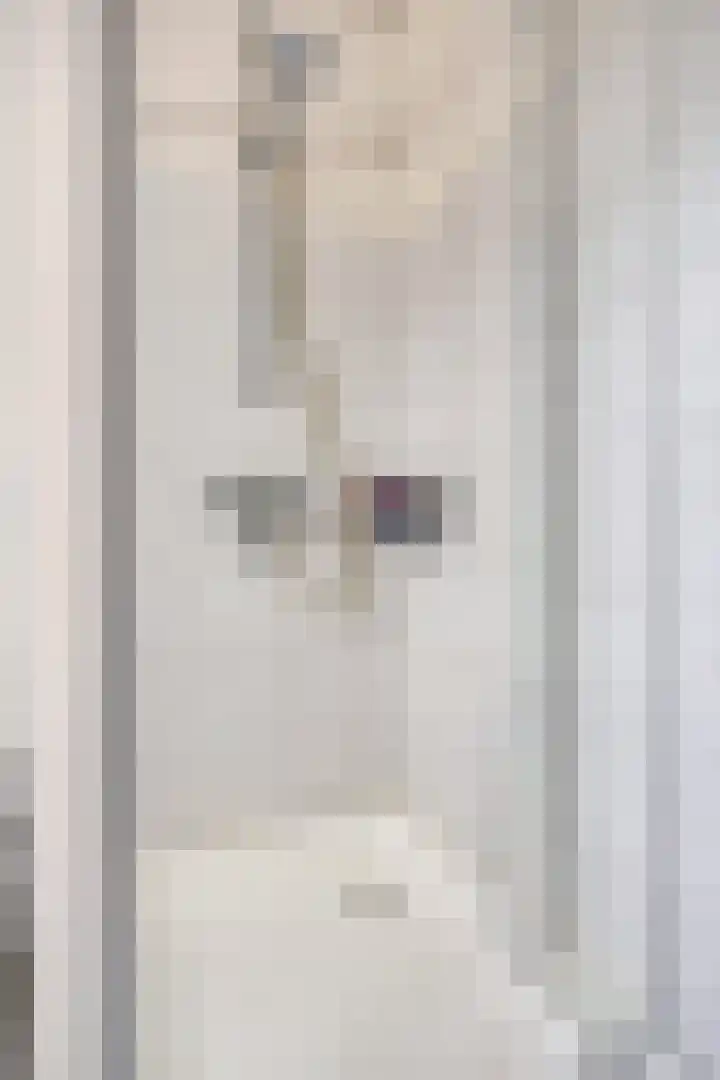 Diemewei 4604 Wijchen thumbnail 19