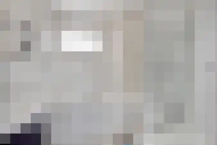 Diemewei 4604 Wijchen thumbnail 20