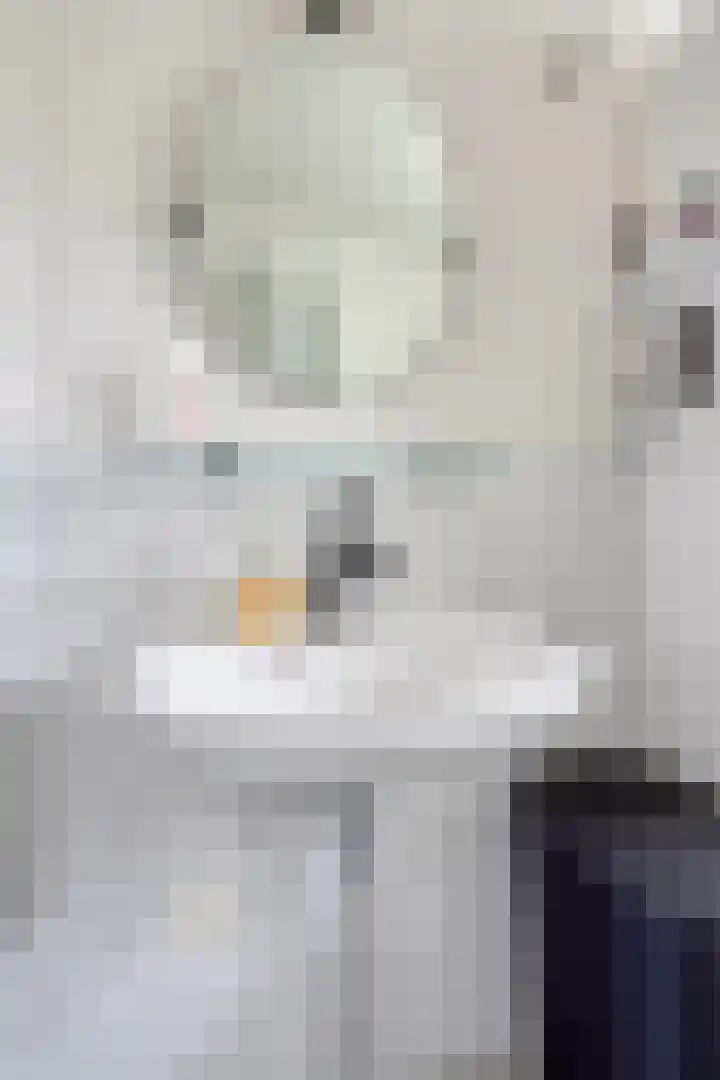 Diemewei 4604 Wijchen thumbnail 22
