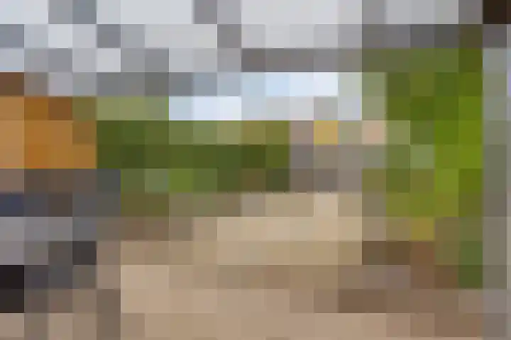 Diemewei 4604 Wijchen thumbnail 23
