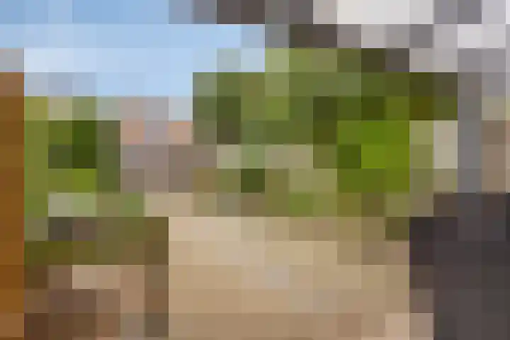 Diemewei 4604 Wijchen thumbnail 24