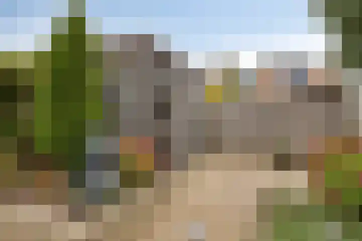 Diemewei 4604 Wijchen thumbnail 25