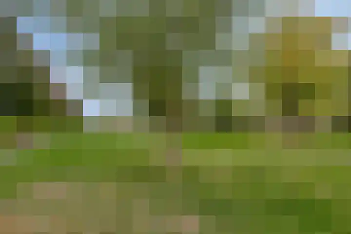 Diemewei 4604 Wijchen thumbnail 28