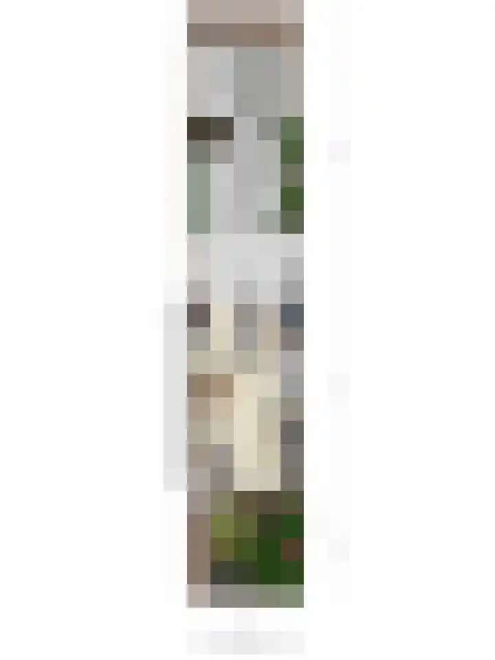 Diemewei 4604 Wijchen thumbnail 30