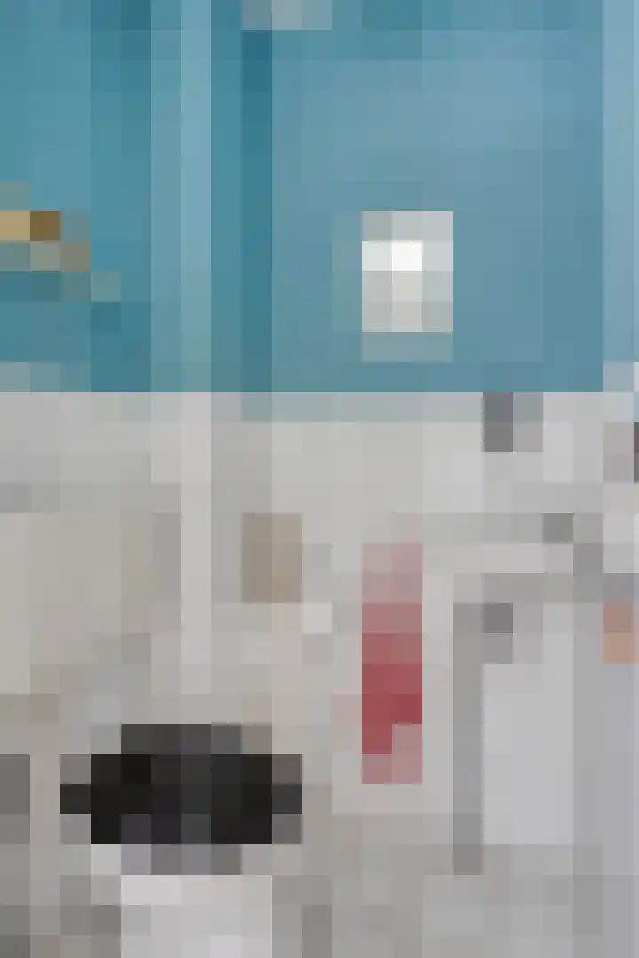 Diemewei 4604 Wijchen thumbnail 5