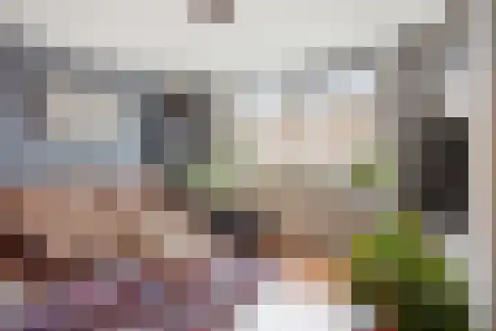 Diemewei 4604 Wijchen thumbnail 7