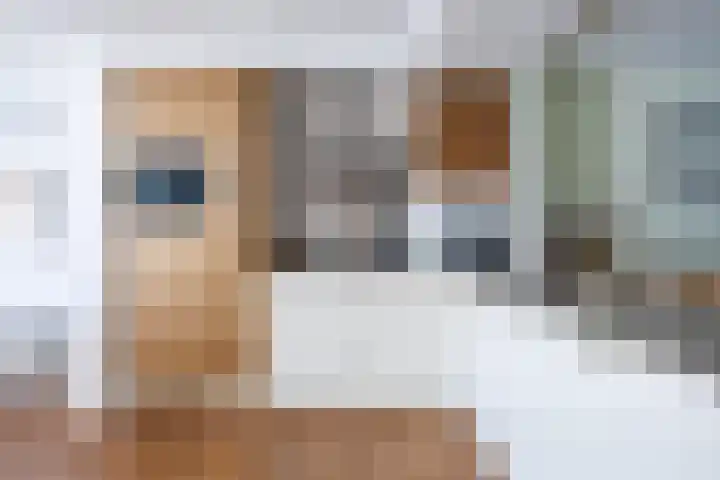 Diemewei 4806 Wijchen thumbnail 11