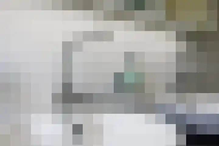 Diemewei 4806 Wijchen thumbnail 31