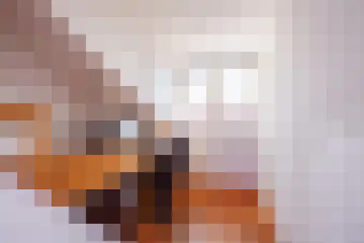 Diemewei 4806 Wijchen thumbnail 33